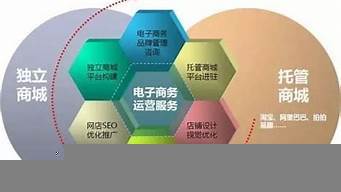 電商專業(yè)學(xué)習(xí)內(nèi)容 電子商務(wù)運(yùn)營服務(wù)全解析