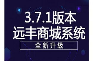 移動電子商務(wù)的市場運(yùn)作與主導(dǎo)者 傳統(tǒng)電商、電信運(yùn)營商與運(yùn)營服務(wù)商的三足鼎立