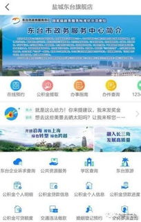 東臺官方旗艦店盛大啟航，鹽城首家創新平臺引領區域發展